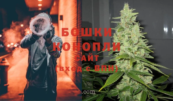 ПСИЛОЦИБИНОВЫЕ ГРИБЫ Чита