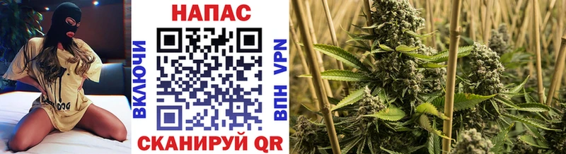 Купить  Жигулёвск  Шишки марихуана ГИДРОПОН 